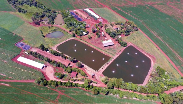 Força Verde fiscalizará licenciamentos ambientais dos produtores rurais 