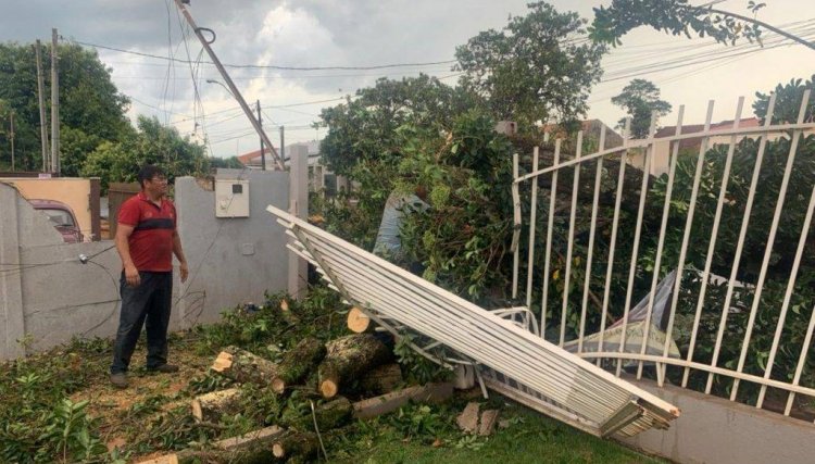 Prefeitura inicia força-tarefa em Assis Chateaubriand após vendaval
