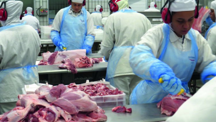 Exportações de carne suína crescem 19% em abril 