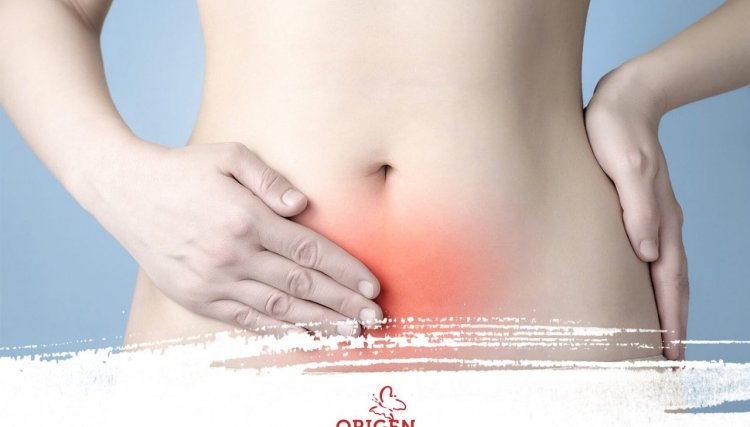 Endometriose afeta 8 milhões de mulheres no Brasil; entenda detalhes da doença