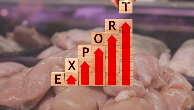 Receita de exportações de carne de frango crescem 13,6% em setembro
<br/>
<br/>