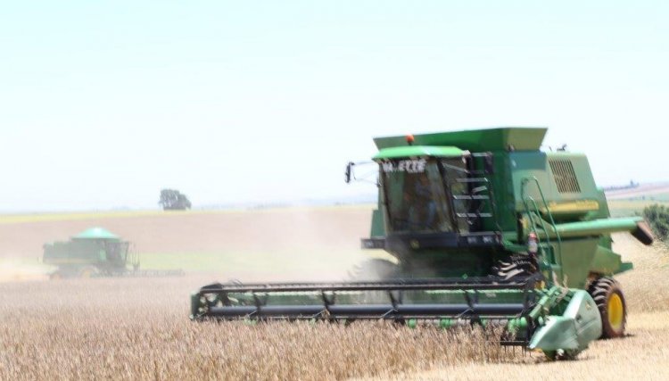 Atenção produtores: Copacol abre período para contratação do seguro agrícola