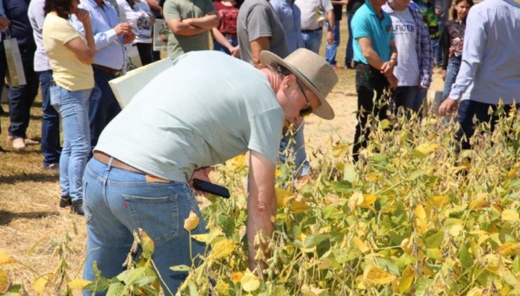 Come&ccedil;a nesta quinta o Dia de Campo Copacol com tecnologia de ponta e tend&ecirc;ncias de mercado