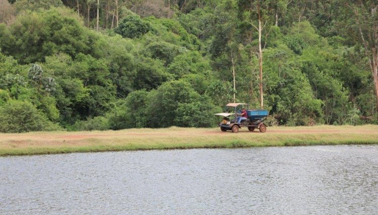 Baixas temperaturas preocupam os produtores rurais da região Oeste
