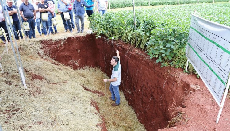 Vem aí nos dias 09 e 10 de janeiro, o 28º Dia de Campo da Copacol