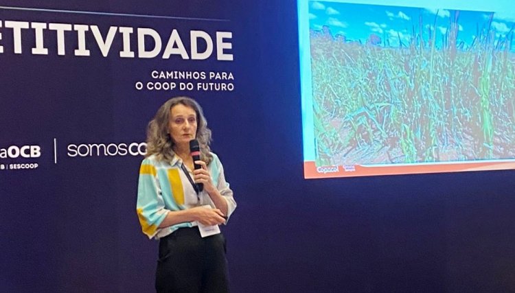 Assessora de Cooperativismo da Copacol participa da Semana de Competitividade