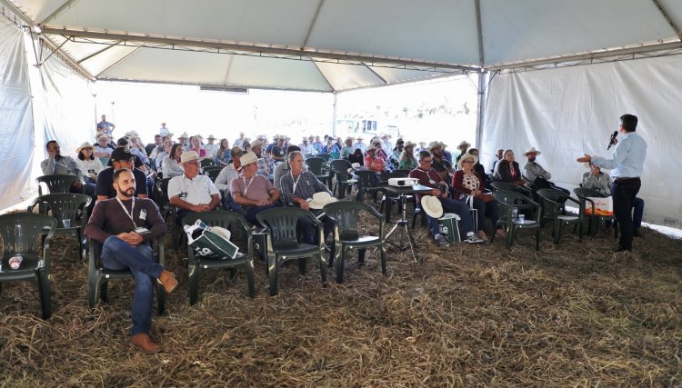 Copacol Agro 2022: Correção do solo é essencial para bons resultados