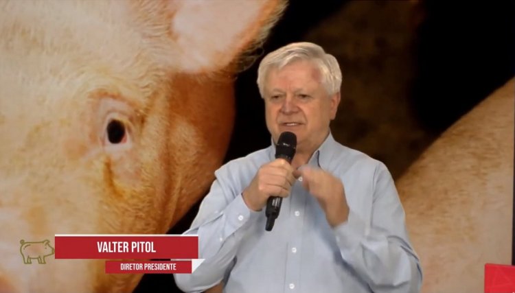 CPAgro Copacol: ótima expectativa para a produção de suínos