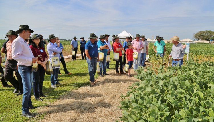 Cooperativa finaliza com sucesso a 28ª edição do Dia de Campo 