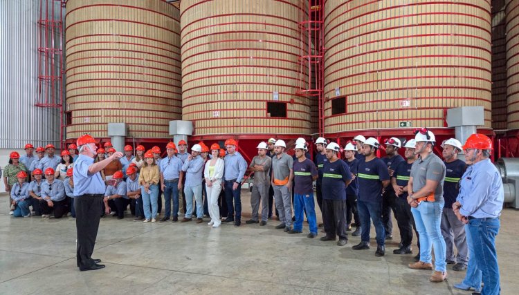 Estrutura e profissionalismo garantem qualidade das sementes da Copacol produzida no RS