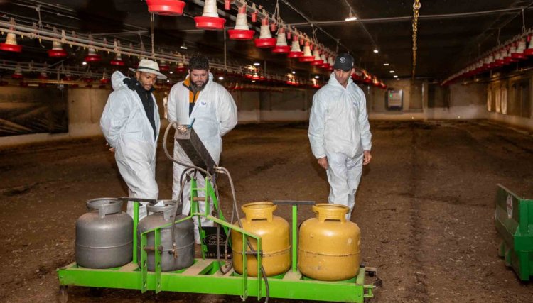 Dia de campo de avicultura da Copacol trabalha qualidade da cama e equipamentos para manejo