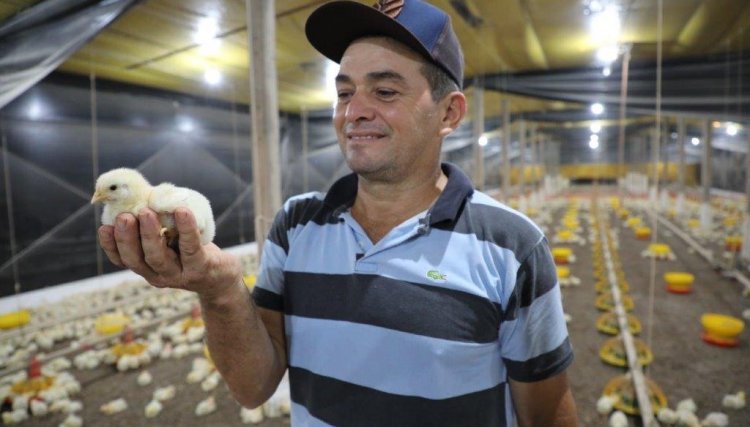 Com 500 pontos avicultor da Copacol tem um dos maiores resultados da história 