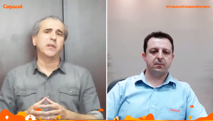 Consultor do agronegócio afirma em Live realizada pela Copacol, que o Brasil pode sair grande desta crise