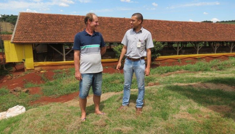 Adolfo Steimbach é o melhor suinocultor do mês da Copacol