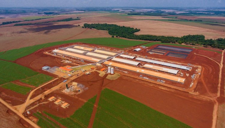 Governo do PR destaca a importância dos investimentos realizados pela Copacol na região Oeste