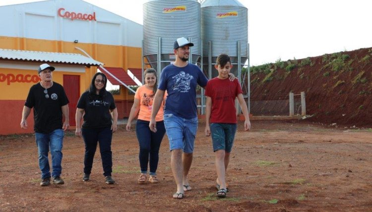 Da indústria para o campo: o bom exemplo de sanidade da família Raizi, cooperados da Copacol, veja o vídeo 