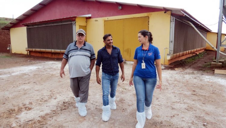 José Luiz Bordin é o melhor avicultor da semana na Copacol