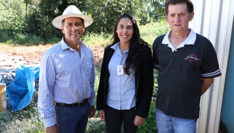 Com valor R$ 2,10 recebido por cabeça de frango, avicultor bate novo recorde na Copacol