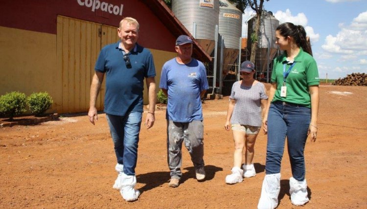 Com 418 pontos Marcos Effting é o melhor avicultor da semana na Copacol