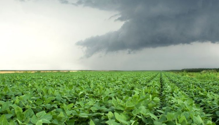 Confira o volume de chuva na região Oeste