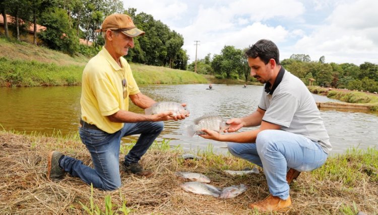 Baixas temperaturas preocupam os produtores de peixes da região