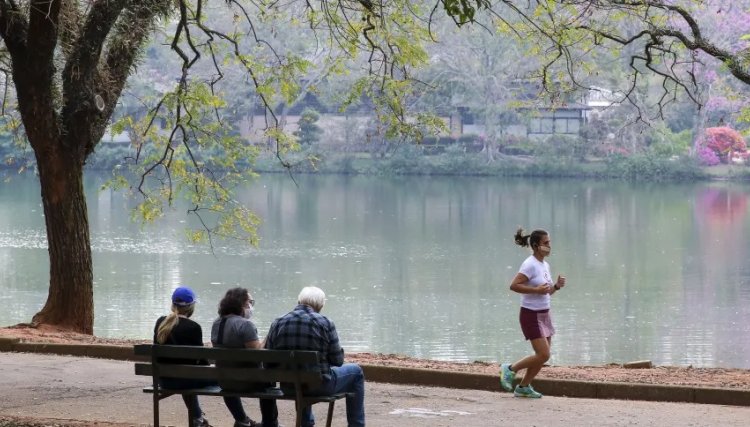 Por que fazer exercícios não é o suficiente para perder peso