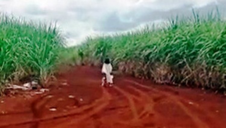 Vídeo mostra suposta menina-fantasma em estrada rural da região, veja a filmagem e deixe a sua opinião 