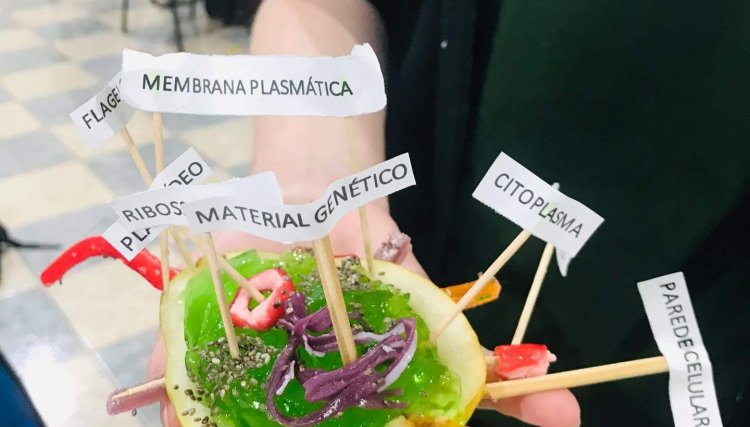 Alunos do Colégio Ellos de Cafelândia realizaram experiência que auxiliam no aprendizado 