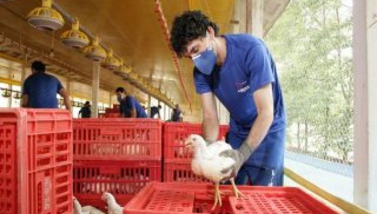 Copacol acaba de abrir vagas para auxiliar de produção