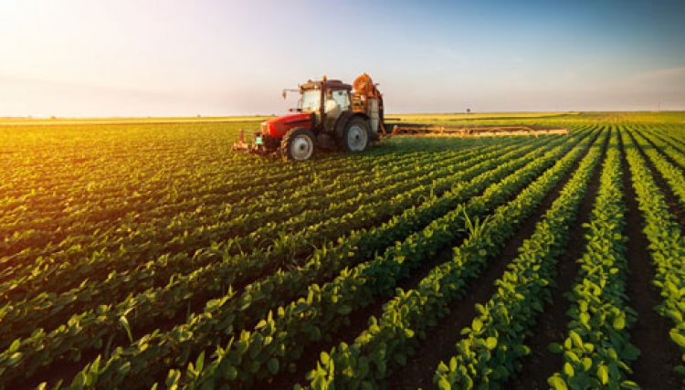 Pesquisador da Embrapa alerta que restrições para o uso de glifosato são prejudiciais para a agricultura 