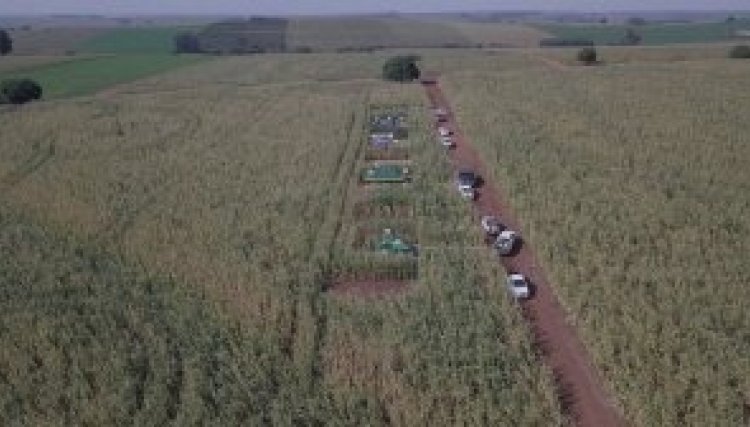 Dia de Campo é realizado para produtores de Iracema e Carajá
