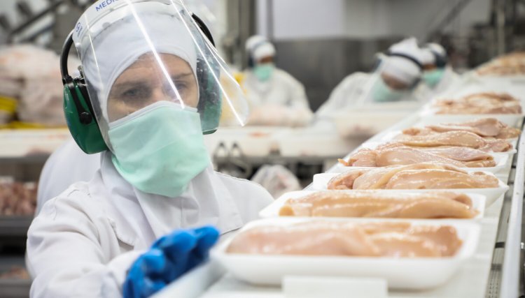 Setor de produção animal comemora a manutenção da Desoneração da Folha de pagamento 