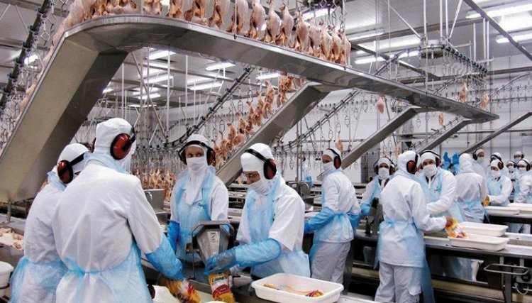 As empresas de carne do Brasil podem substituir fornecedores ucranianos e russos durante a guerra