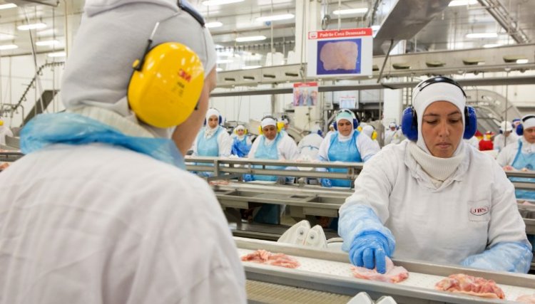 Exportação de frango cresce em novembro e preço inicia alta no Brasil 