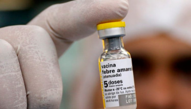 Saúde reforça a importância da vacinação contra febre amarela 