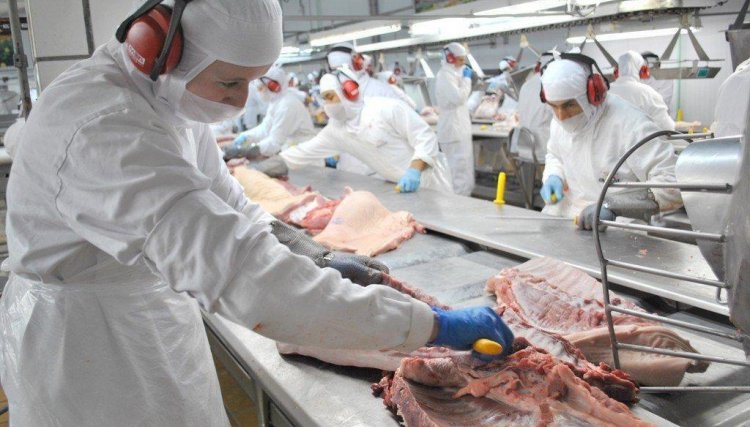 PR pode ter acesso irrestrito ao mercado mundial de carnes e assumir a liderança na suinocultura, investimentos da Frimesa vão ajudar a concretizar estes números  