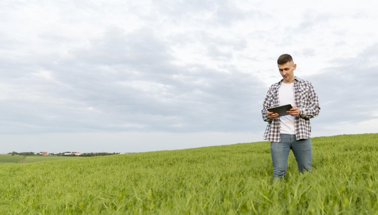 Gestão do Agronegócio: novo curso EaD da Univel vai habilitar novos profissionais para o mercado