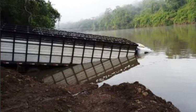 Caminhão carregado com bezerros cai no Rio Piquiri
