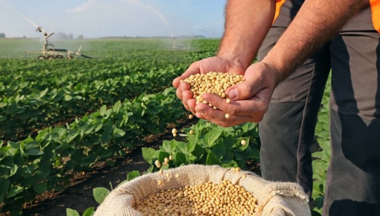 Reforma Tributária: entenda como as mudanças poderão afetar o agro