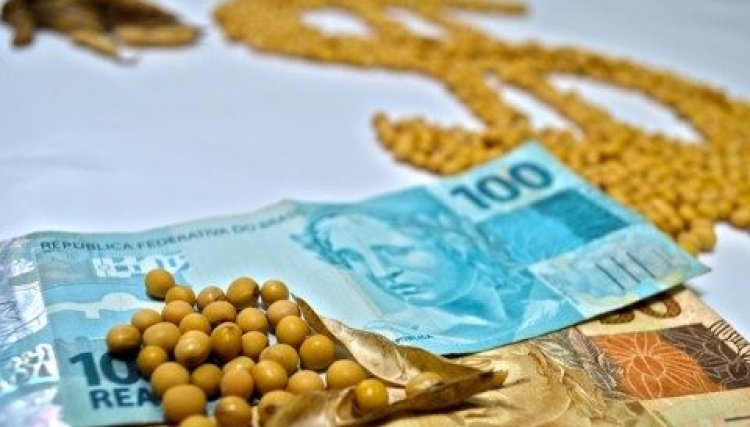 Cotações da soja estão em patamares recordes, na Copacol a saca foi cotada hoje a R$ 104,00