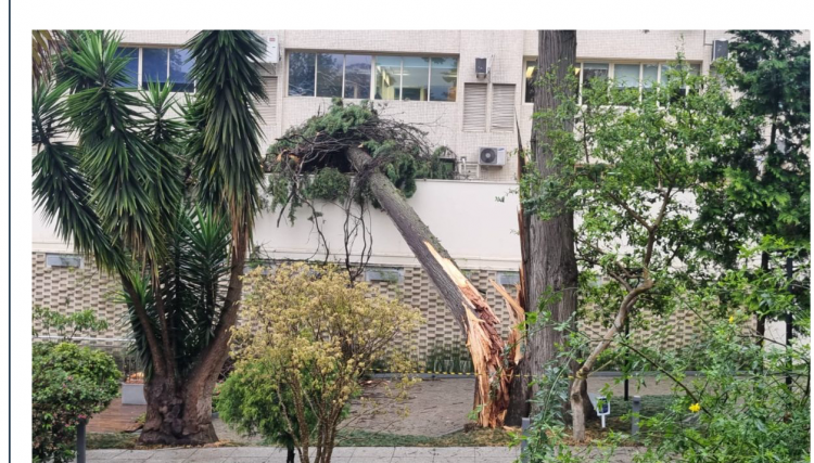 Rajadas de vento de quase 100 km/h atingem regi&otilde;es do PR, veja onde