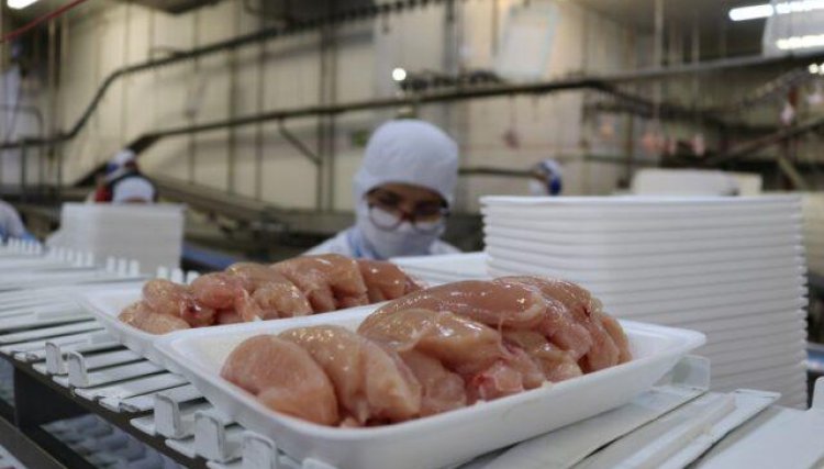 Exportações com árabes tem melhor ano desde 2013, frango teve aumento de 21,59%