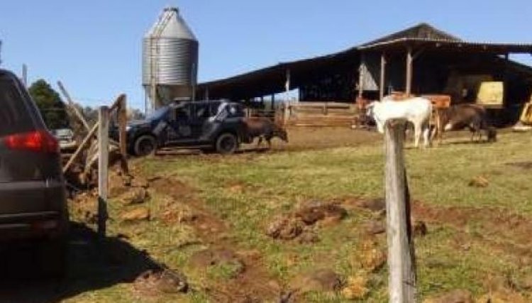 Dois assaltantes são mortos em uma propriedade rural na região