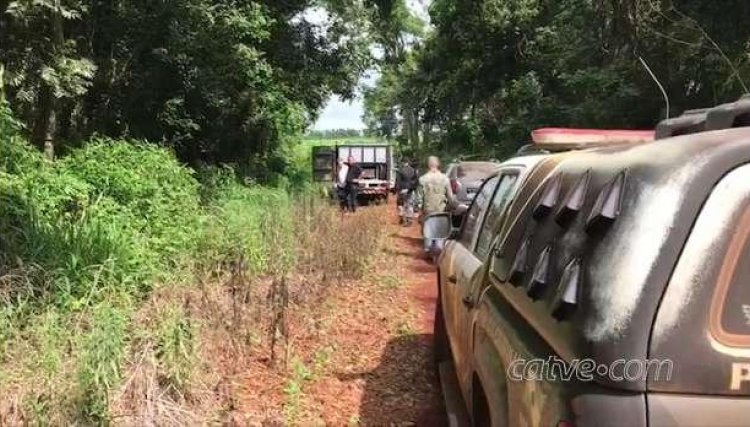 Mulher é encontrada morta com corpo carbonizado em Cascavel