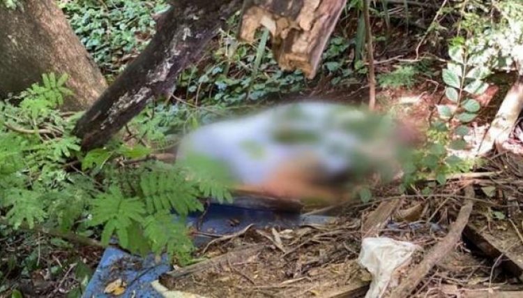 Homem é encontrado morto em estado de decomposição em Foz do Iguaçu