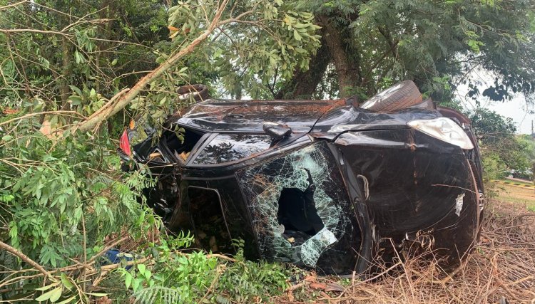 Em fuga, condutor de carro carregado com maconha invade bairro, bate contra árvore e foge a pé