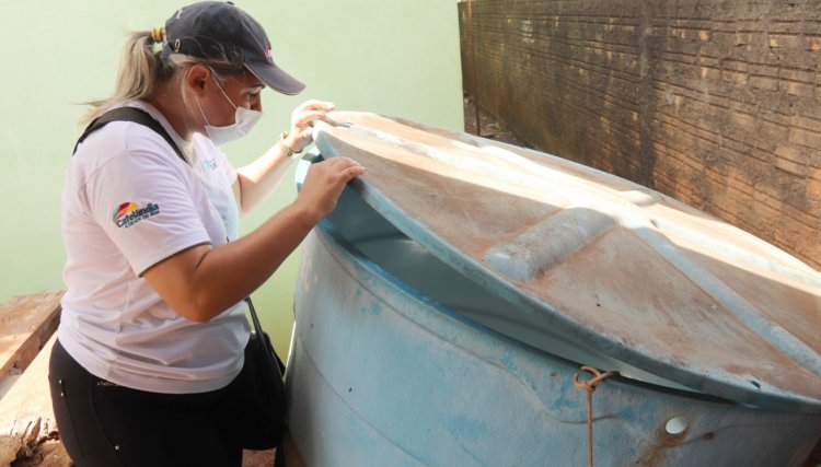 Cafelândia registra quatro casos de Dengue e dados preocupa o município