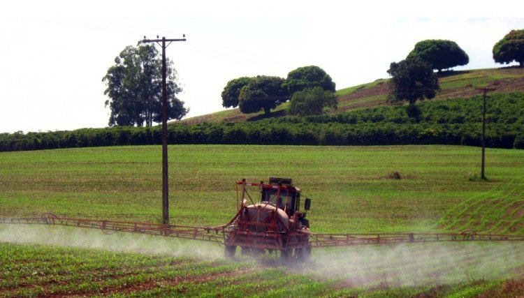 Novo decreto do governo federal sobre agrotóxicos exige capacitação para aplicadores
