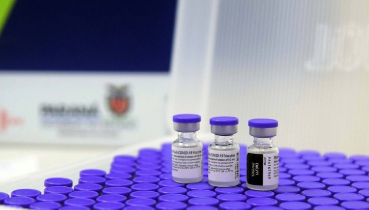 Paraná recebe mais 30,4 mil vacinas contra a Covid-19 do governo federal