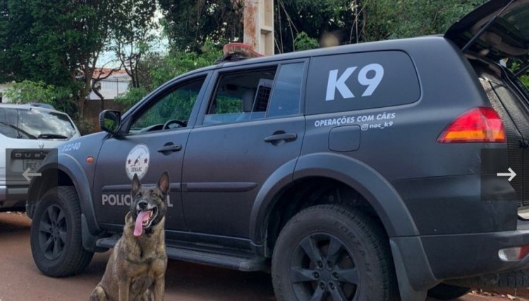 Casal é preso por tráfico de drogas na Penha em Corbélia